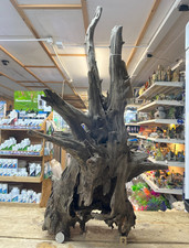 Large Corbo Root Aquarium