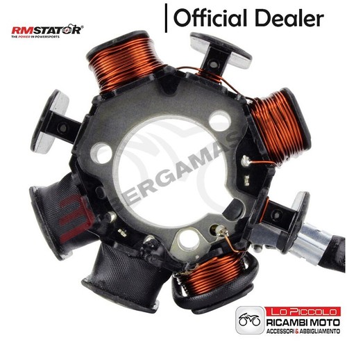Stator magnet for - stator,