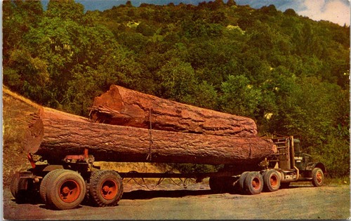 Logging truck northwest - truck,