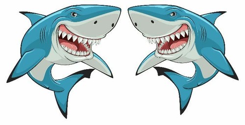 Shark shaped vinyl - shark, stickers