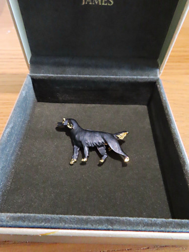 Vintage gordon setter - vintage, dog