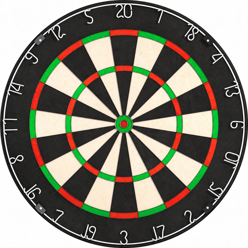 Dartboard professional - |,