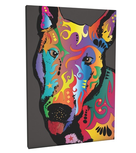 English bull terrier - english, box