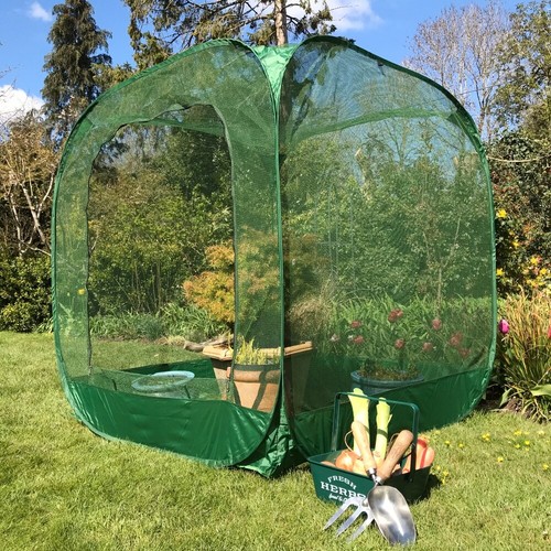 Allotment plant protection - allotment,