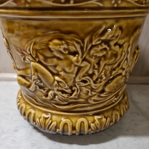 Vintage mustard slyvac plant - vintage,