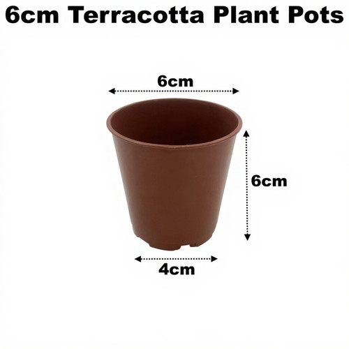 6cm plant pots terracotta - 6cm,