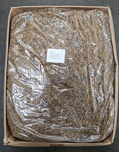 Dried calciworms for birds - calciworms,