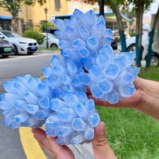 Blue Crystal Cluster - Flower Shaped Specimen - 5.5LB