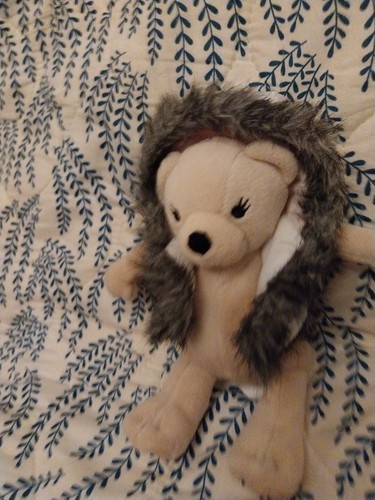 Bhs teddy bear - bhs, silver