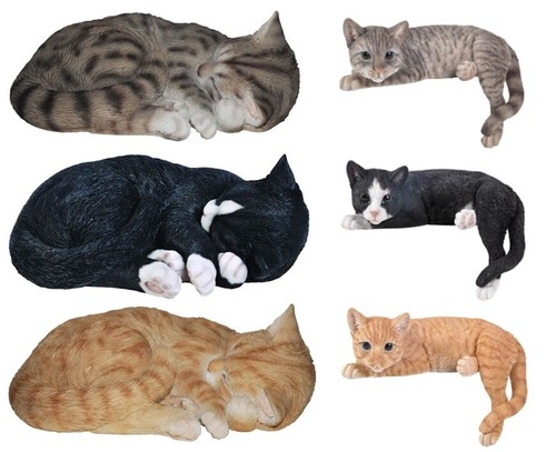 Sleeping cat garden - cat,