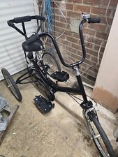 Adult Special needs Tomcat