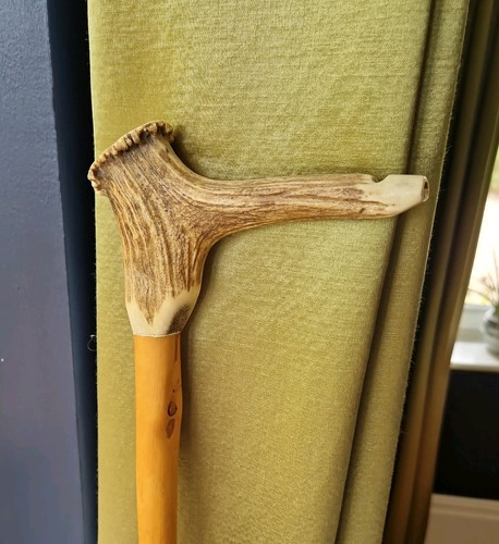 Vintage stag horn - vintage,