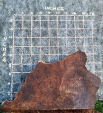 Timber Scottish Burr Elm Blank