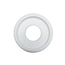 Elegant Decorative Medallion