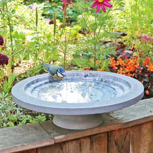 Shenstone theatre bird bath - bird,