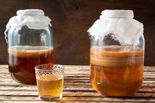 ORGANIC Kombucha Starter with