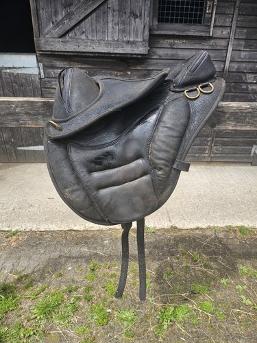 Torsion treeless saddle - torsion,