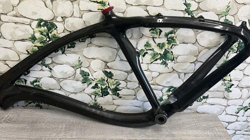 Full carbon fibre - bike, frame
