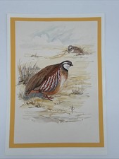 Original Signed Watercolour