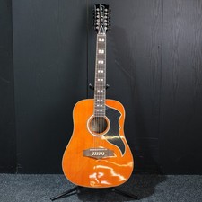 Eko Ranger XII VR Acoustic