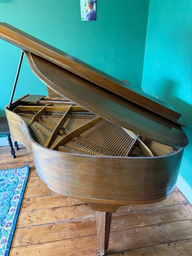 Monington weston baby grand - monington, &