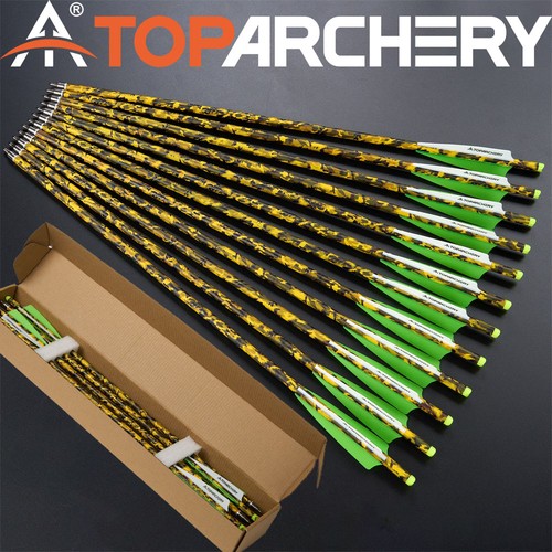 12pc archery carbon - archery,