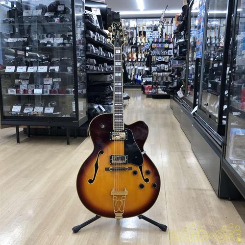 Vantage full hollow - vantage,