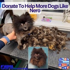 Donate To Help More Puppies