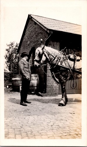 Old photo man - old, stable