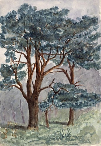 Trees rural scene antique - trees,