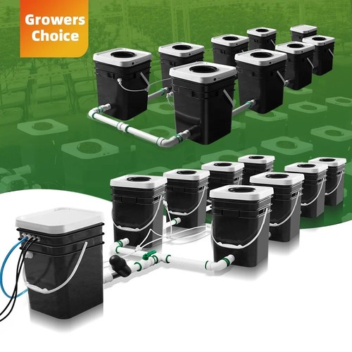 Site aeroponic rdwc - aeroponic,