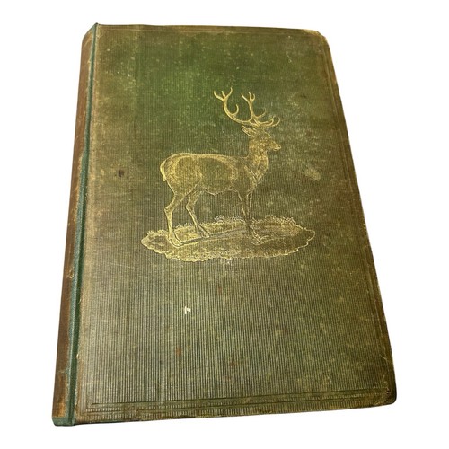 William scope the art deer - william,