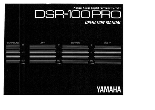 Yamaha dsr 100pro decoder - dsr-100pro,