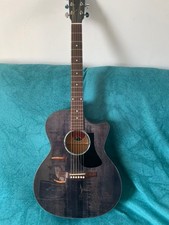 Eastman Electro Acoustic