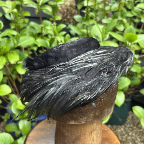 Vintage ladies black feather - black,