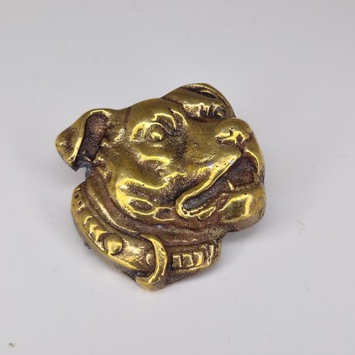 Staffordshire bull terrier - staffordshire,