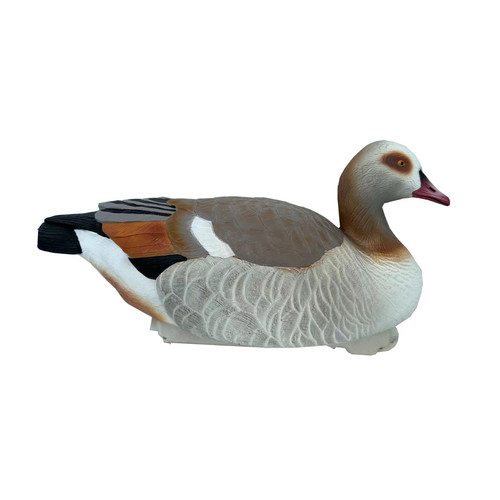 255268 egyptian goose - egyptian,