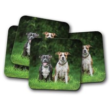 4 Set - Cute Staffie Dogs