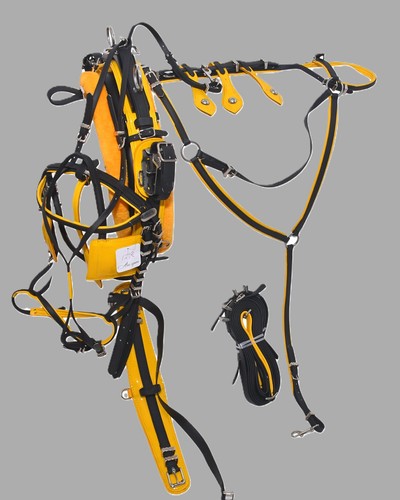 Pvc trotting harness quick - trotting,