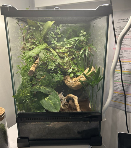 Custom handmade terrariums - handmade,