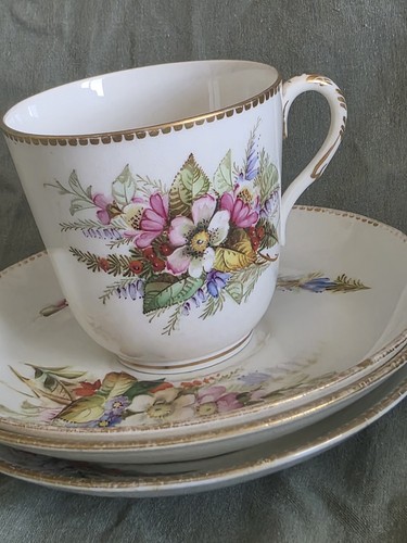 Royal worcester antique - royal,