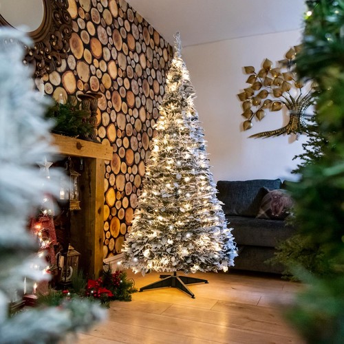 6ft pre lit pop - 6ft, christmas