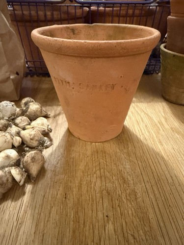 Sankeys terracotta antique - terracotta,