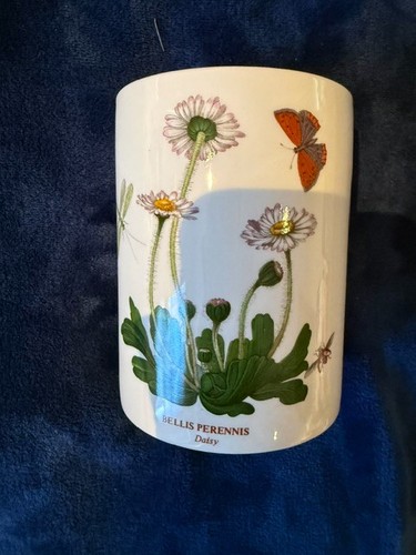 Vintage portmeirion botanic - vintage,