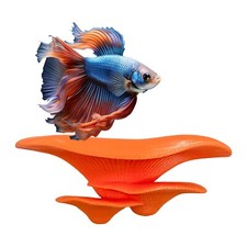Betta Fish Hammock – Floating Aquarium Rest Ledge Platform for Betta & Shrimp