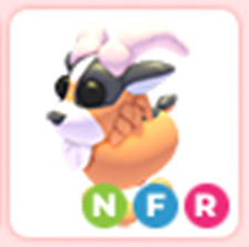 Pets Hot - NFR Billy Goat - The Trusted Store!!