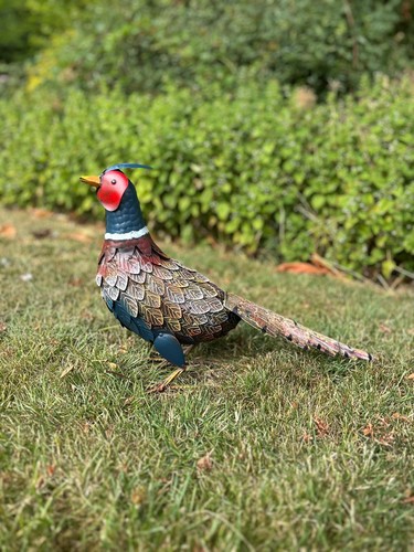 Decorative pheasant bird - pheasant,