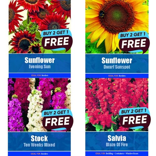 Flower seeds grow your own - flower,