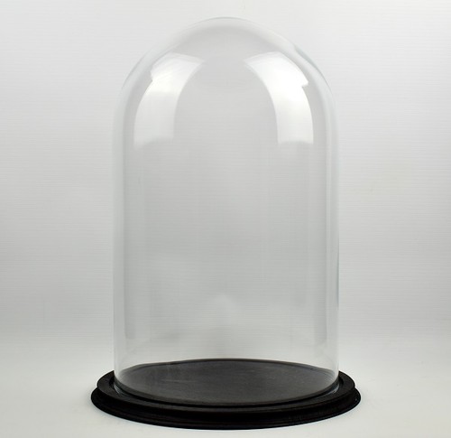 Clear circular glass dome - clear,