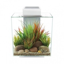 Fluval Edge 2.0 Aquarium 46 Litre - Gloss White